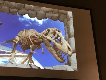 福井県立恐竜博物館に投稿された画像（2024/7/12）