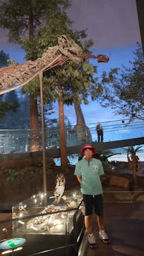 福井県立恐竜博物館に投稿された画像（2024/7/12）