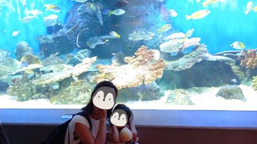 しながわ水族館に投稿された画像（2024/7/12）