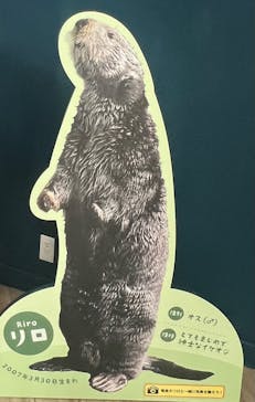 マリンワールド海の中道に投稿された画像（2024/7/13）