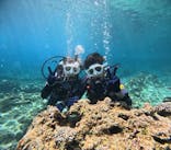 沖縄マリンサービス碧に投稿された画像（2024/7/13）