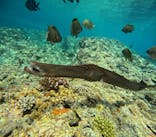 沖縄マリンサービス碧に投稿された画像（2024/7/13）