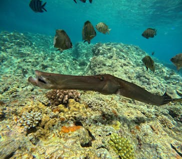 沖縄マリンサービス碧に投稿された画像（2024/7/13）