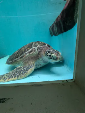 仙台うみの杜水族館に投稿された画像（2024/7/13）