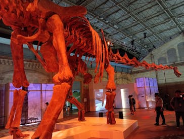 巨大恐竜展2024に投稿された画像（2024/7/13）