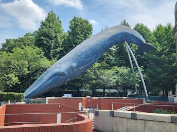 国立科学博物館に投稿された画像（2024/7/13）