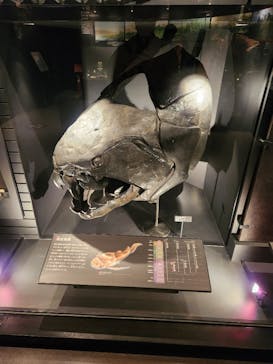 国立科学博物館に投稿された画像（2024/7/13）