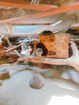 恩賜上野動物園に投稿された画像（2024/7/13）