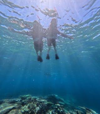 西表島 ADVENTURE PiPi（アドベンチャーピピ）に投稿された画像（2024/7/13）