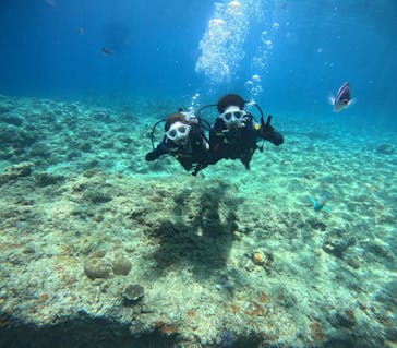 沖縄マリンサービス碧に投稿された画像（2024/7/13）