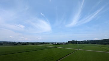 成田の命泉　大和の湯に投稿された画像（2024/7/13）