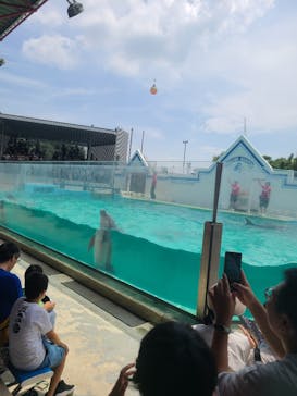 しながわ水族館に投稿された画像（2024/7/13）
