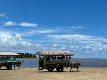西表島 ADVENTURE PiPi（アドベンチャーピピ）に投稿された画像（2024/7/13）