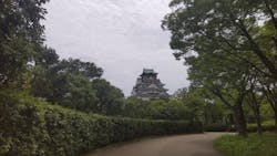大阪城公園 西の丸庭園に投稿された画像（2024/7/13）
