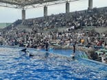 名古屋港水族館に投稿された画像（2024/7/13）
