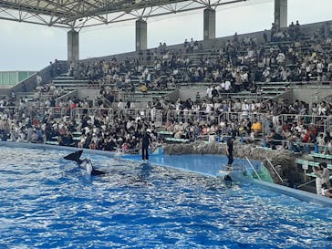名古屋港水族館に投稿された画像（2024/7/13）