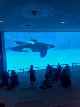 名古屋港水族館に投稿された画像（2024/7/13）