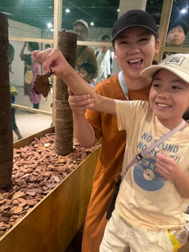 体感するファーブル昆虫展in横浜赤レンガ倉庫に投稿された画像（2024/7/13）