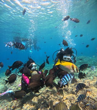 沖縄マリンサービス碧に投稿された画像（2024/7/13）