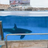 名古屋港水族館に投稿された画像（2024/7/13）