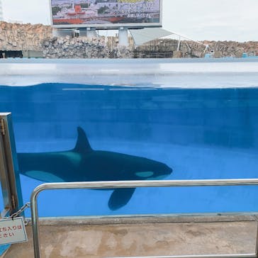 名古屋港水族館に投稿された画像（2024/7/13）