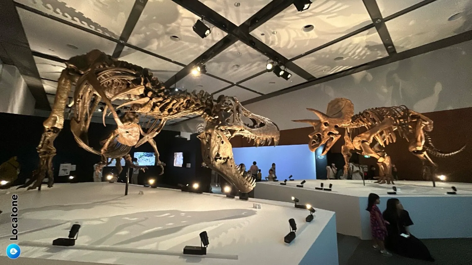 DinoScience 恐竜科学博 ～ララミディア大陸の恐竜物語～ 2024@OSAKAの