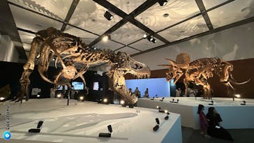 DinoScience 恐竜科学博 ～ララミディア大陸の恐竜物語～ 2024@OSAKAに投稿された画像（2024/7/13）
