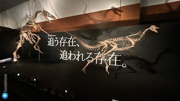 DinoScience 恐竜科学博 ～ララミディア大陸の恐竜物語～ 2024@OSAKAに投稿された画像（2024/7/13）