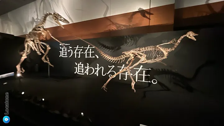 DinoScience 恐竜科学博 ～ララミディア大陸の恐竜物語～ 2024@OSAKAの