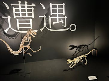 DinoScience 恐竜科学博 ～ララミディア大陸の恐竜物語～ 2024@OSAKAに投稿された画像（2024/7/13）