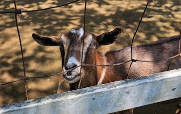 成田ゆめ牧場に投稿された画像（2024/7/13）