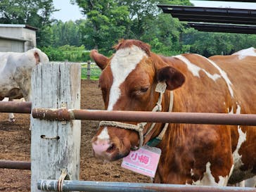 成田ゆめ牧場に投稿された画像（2024/7/13）