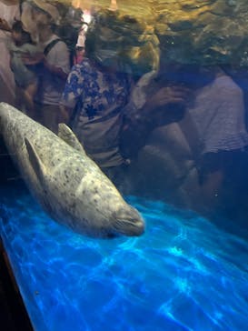 マクセル アクアパーク品川に投稿された画像（2024/7/13）