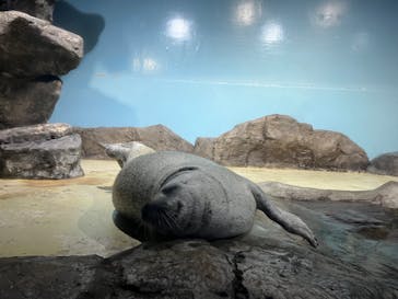 マクセル アクアパーク品川に投稿された画像（2024/7/13）