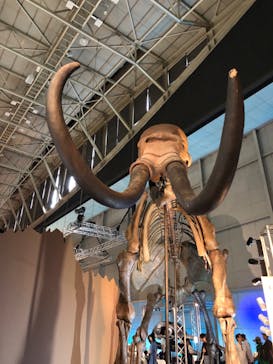 巨大恐竜展2024に投稿された画像（2024/7/13）