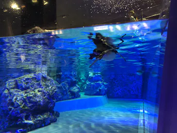 すみだ水族館に投稿された画像（2024/4/28）