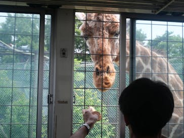 那須サファリパークに投稿された画像（2024/7/13）