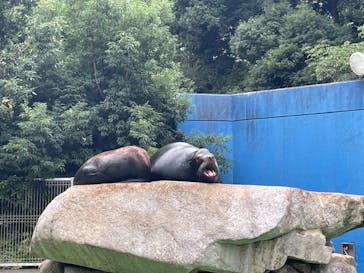 千葉市動物公園に投稿された画像（2024/7/13）