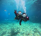 沖縄マリンサービス碧に投稿された画像（2024/7/13）