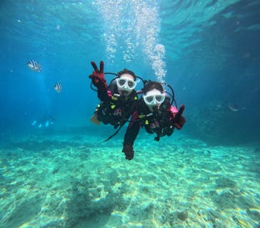 沖縄マリンサービス碧に投稿された画像（2024/7/13）