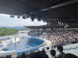 京都水族館に投稿された画像（2024/7/13）