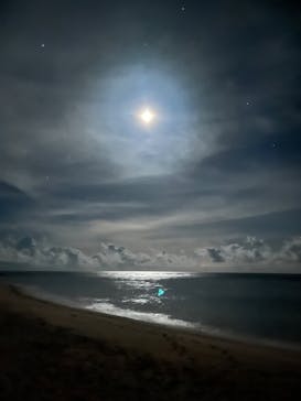 西表島 ADVENTURE PiPi（アドベンチャーピピ）に投稿された画像（2024/7/13）