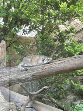 那須どうぶつ王国に投稿された画像（2024/7/13）