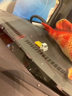 ギョギョッとサカナ★スター展　～お魚たちが教えてくれる海のこと～に投稿された画像（2024/7/13）