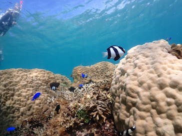 ちゃこたびに投稿された画像（2024/7/13）