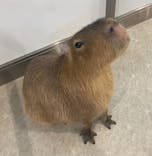 アニタッチみなとみらいに投稿された画像（2024/7/13）