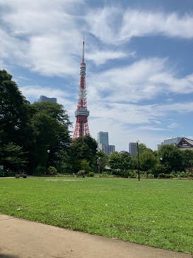 東京タワーに投稿された画像（2024/7/13）