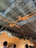 巨大恐竜展2024に投稿された画像（2024/7/13）