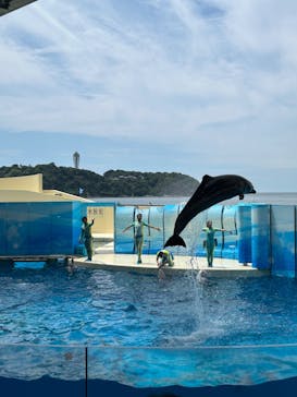新江ノ島水族館に投稿された画像（2024/7/13）