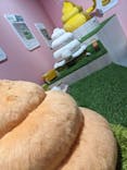 うんこミュージアム TOKYOに投稿された画像（2024/7/13）